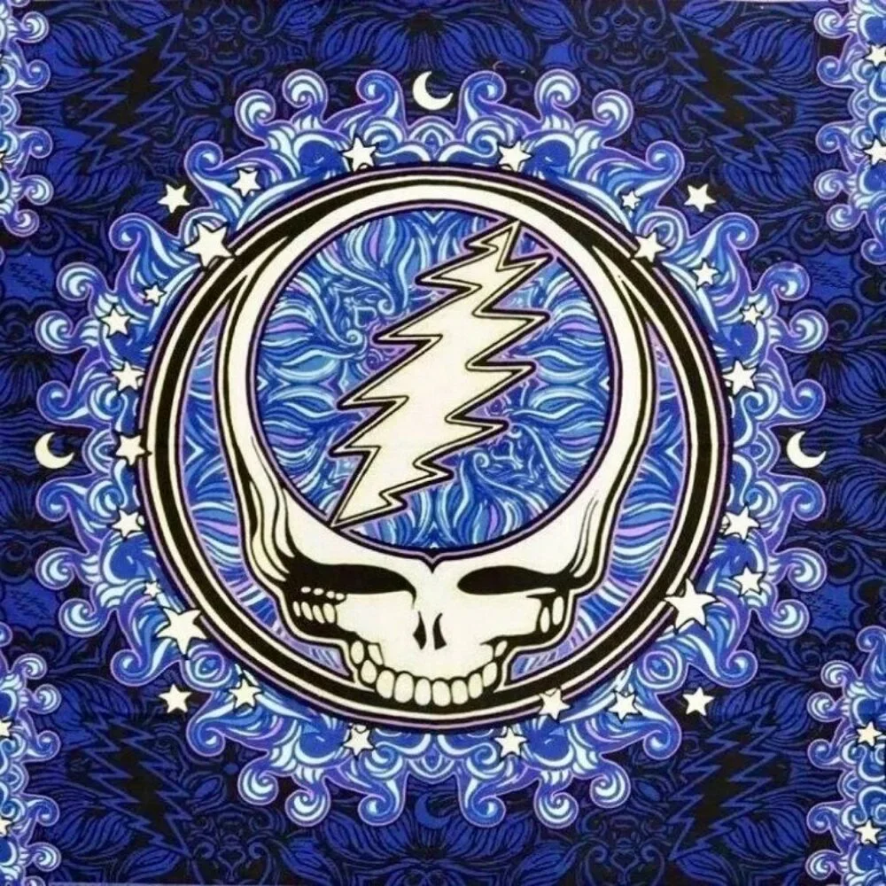 Grateful Dead Tapestry Blue Steal Your Face Gift Wall Hanging Mini New 45x30 3D